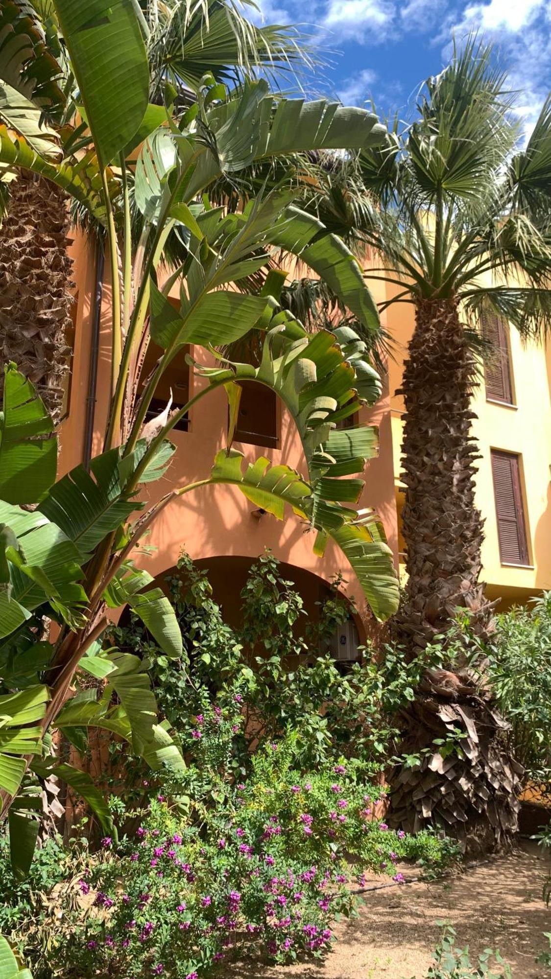 Nest House Marina Di Olbia- Mater - Beaches - Close To The Airport - Private Parking- Full Comforts - Apartment