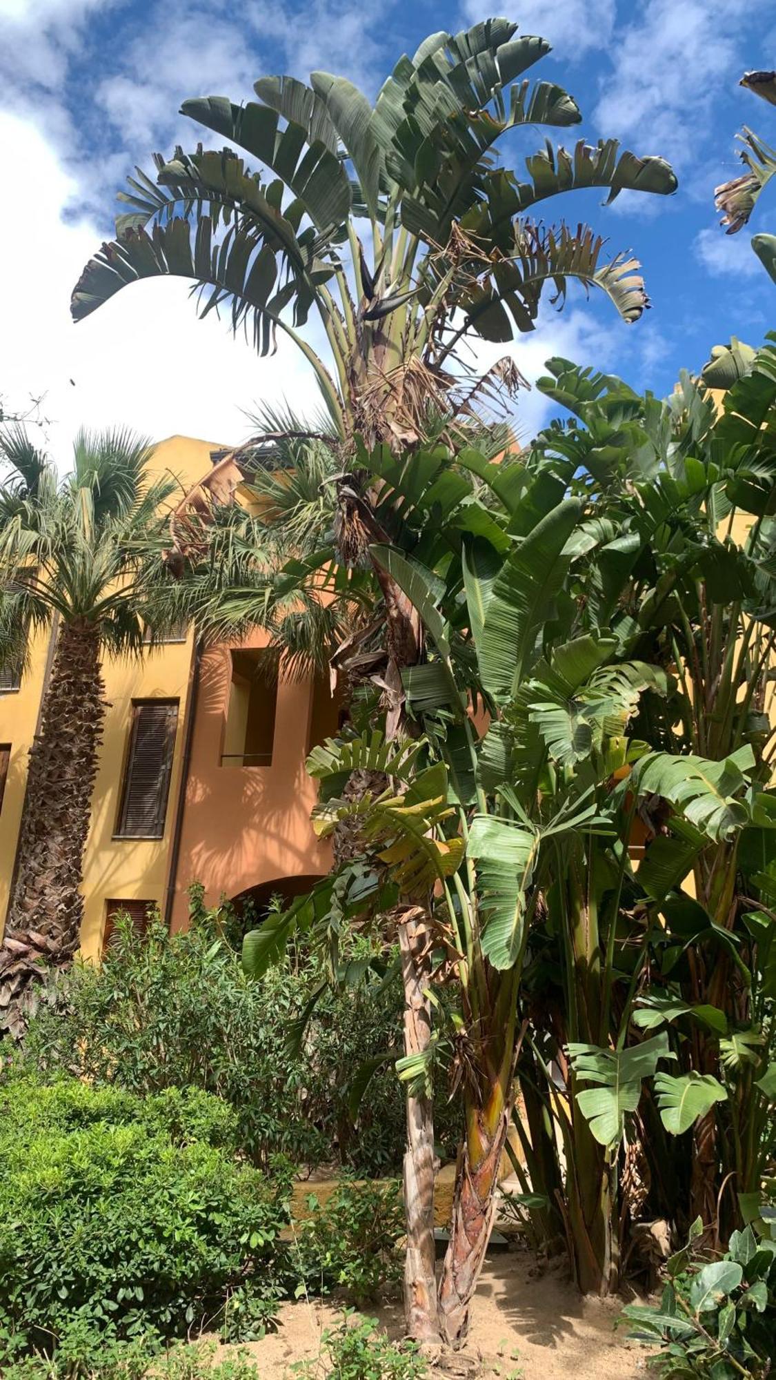 Nest House Marina Di Olbia- Mater - Beaches - Close To The Airport - Private Parking- Full Comforts - Apartment